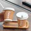 Eco-Friendly Double-Layer Paper Cups (Hot Drink Special)
